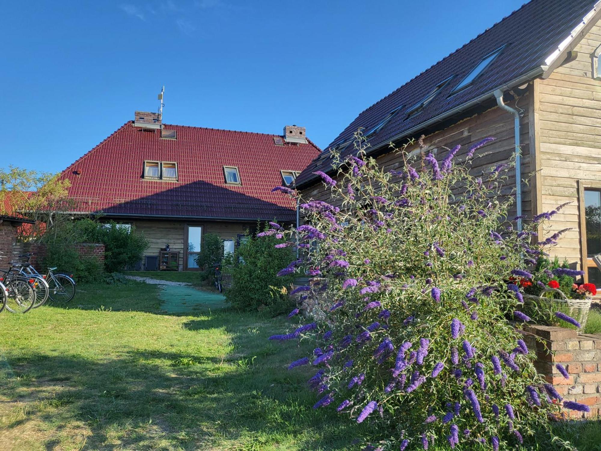 Dom Goscinny Ptaszarnia - Natura-Free Parking Swinoujscie Exterior photo